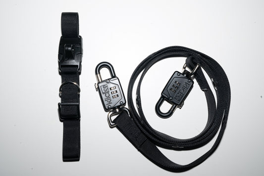 The Klick9 Dog Leash & Collar